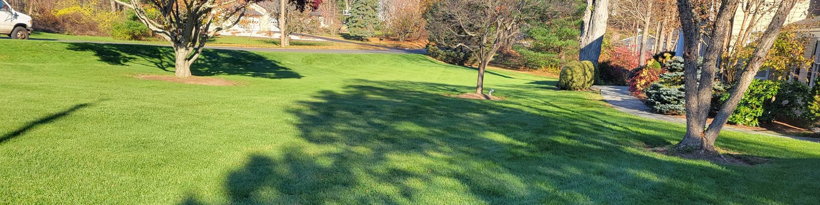 Premium landscaping lawn care service in Connecticut