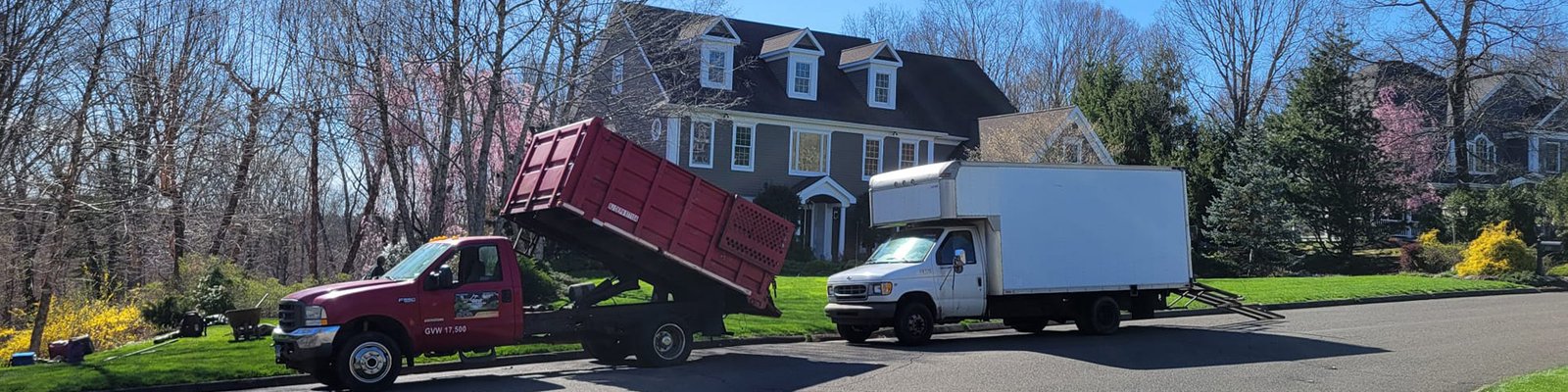 Tree and Shrub Trimming Service