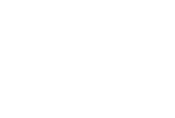 WG Lawn & Landscape Logo